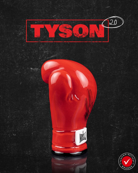 TYSON 2.0 Boxing Glove Pipe
